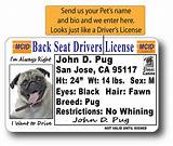 Get Fl Drivers License Online Images