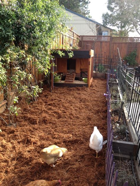 Keeping chickens is not difficult. Roof Garden Coop - BackYard Chickens Community
