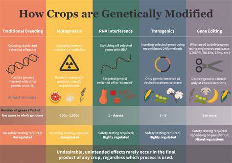 What Are Mutagenized Crops And Why They Are Not Labeled And Regulated Genetic Literacy Project