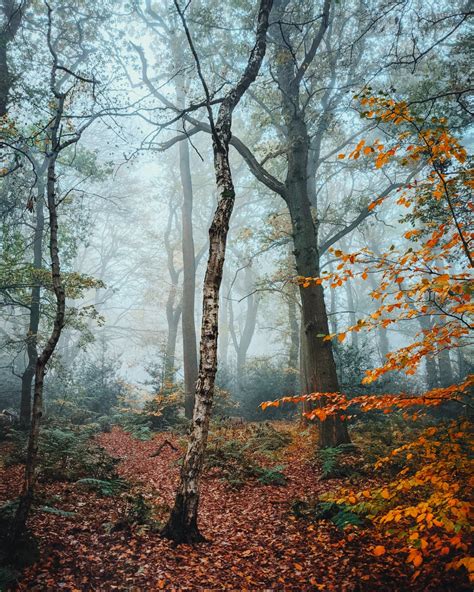Destination Of The Day Misty Autumnal Morning Walk In Staffordshire