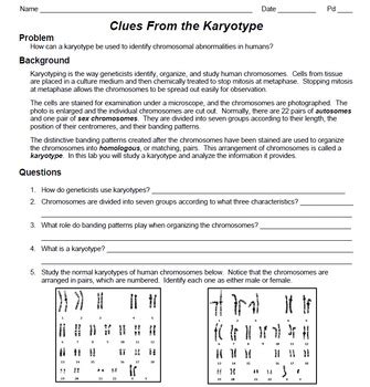 Gizmo dichotomous keys answer key read gizmo dichotomous keys answer keyfree download sooner you acquire the book, sooner you can enjoy reading the gizmo dichotomous keys answer key. Cell division gizmo answer key activity a | Gizmo Answer ...