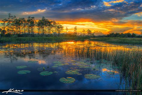 Florida Wetlands Sunset River Of Grass Hdr Photography By Captain Kimo