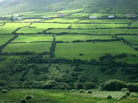 Ireland Meadow Green Free Photo On Pixabay Pixabay