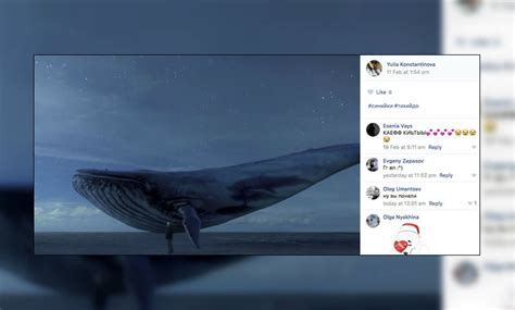 If you want a smooth ride, they better do everything possible to make you 100% comfortable with the process. É nata l'app "anti Blue Whale". - Geek Press