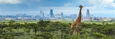 1 Day Nairobi City Tour 1 Day Kenya Wildlife Safari Nairobi National