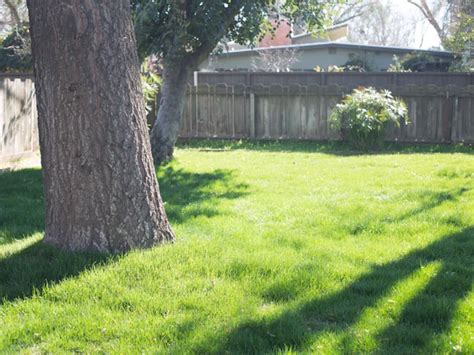 Outdoor Spring Cleaning 7 Ways To Make Your Yard Safe