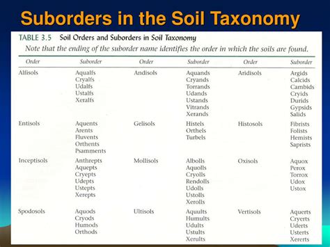 Ppt Soil Classification In The United States Powerpoint Presentation