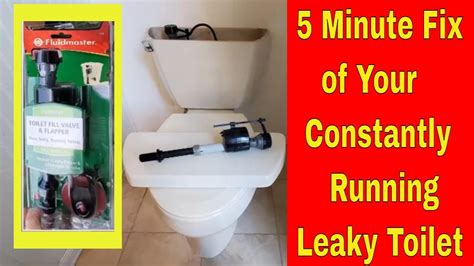 How To Fix A Leaky Running Toilet Install Fluid Master DIY Quick Simple