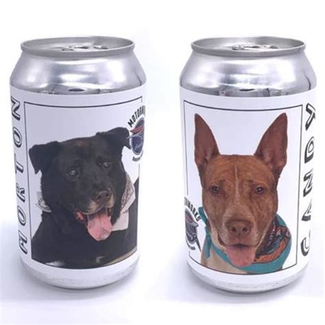 Brewery Puts Shelter Dogs On Beer Cans Lifestyle Chatter