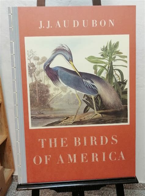 John James Audubon The Birds Of America Band Ii Eine Auswahl Von