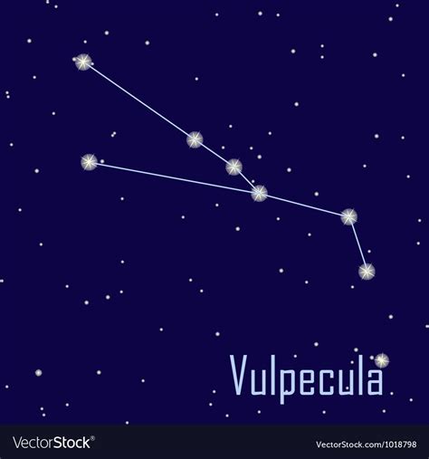 The Constellation Vulpecula Star In The Night Sky Vector Ill