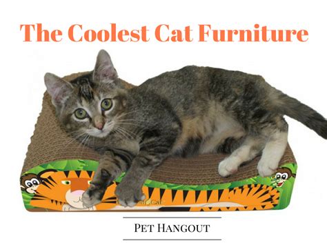 Pet Hangout Has The Coolest Cat Scratching Furniture You Will Find