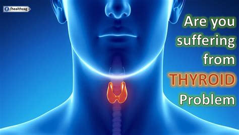 Thyroid As Related To Underactive Thyroid Pictures