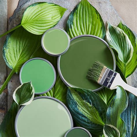 15 Soothing Paint Colors To Create A Calming Space Green Paint Colors