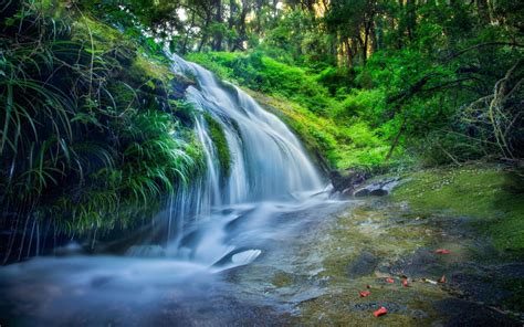 Thailand Waterfall Forest River Green Grass Wallpaper Hd