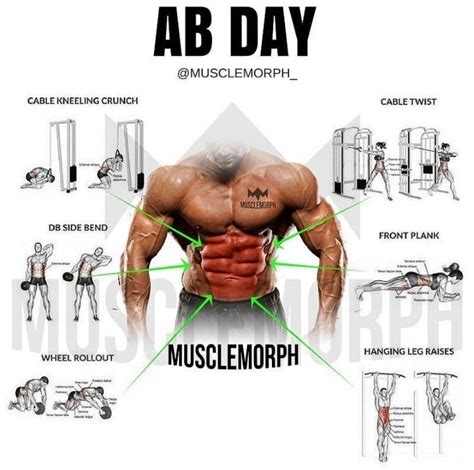 Pin By Ali Wishus On You Lift Bro Abs Workout Total Ab Workout