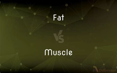 Fat Vs Muscle — Whats The Difference