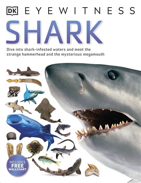 Shark By Dk Penguin Books Australia