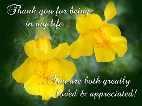 Thank You For Being In My Life Free Floral Wishes Ecards 123 Greetings