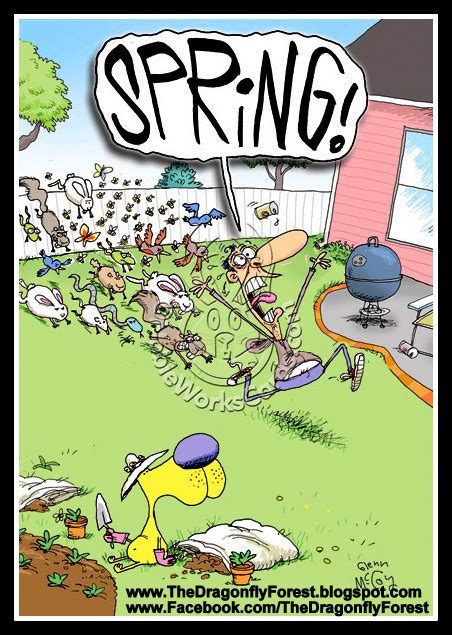 The Dragonfly Forest Fun Spring Cartoons Cartoon Saturday