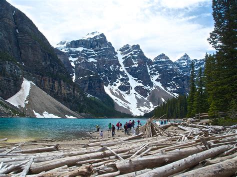 Logs From Avalanches On Moraine Lake Beach In Banff