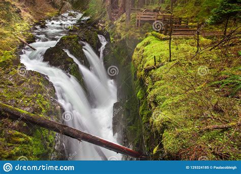 Sol Duc Falls Olympic National Park Washington State Usa Stock Image