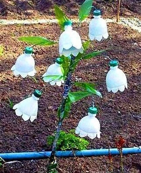 Amazing Ideas On How To Reuse Plastic Bottles In Garden
