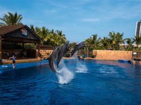Ushaka Marine World Durban South Africa Top Attractions Things To