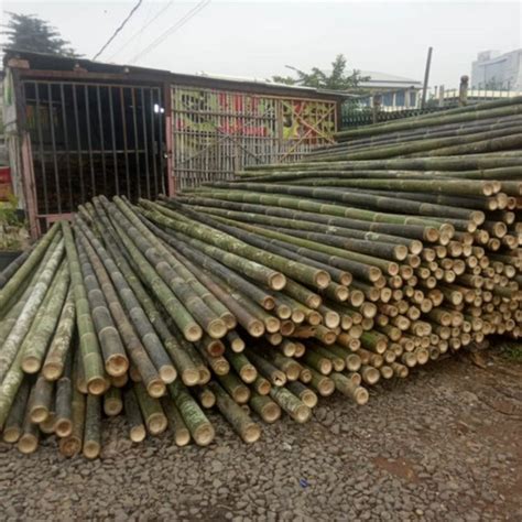 Promo Bambu Steger Bambu Proyek Bambu Bekisting Jakarta Utara