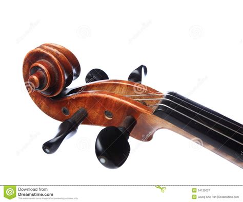 Violin Head Royalty Free Stock Photography Image 14125027
