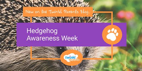 Hedgehog Awareness Week Twinkl