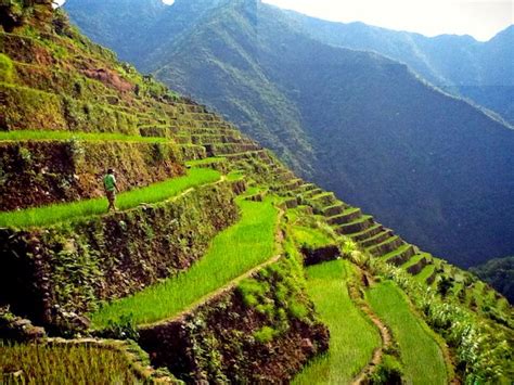 Rice Farming And The Scenic Landscape Of Batad Rice Terraces In The
