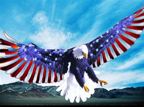 American Eagle Wallpapers Wallpaper Cave