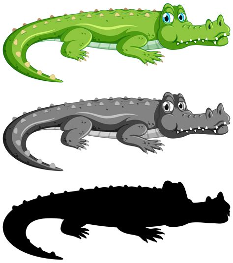 Set Of Crocodile On White Background 432130 Vector Art At Vecteezy