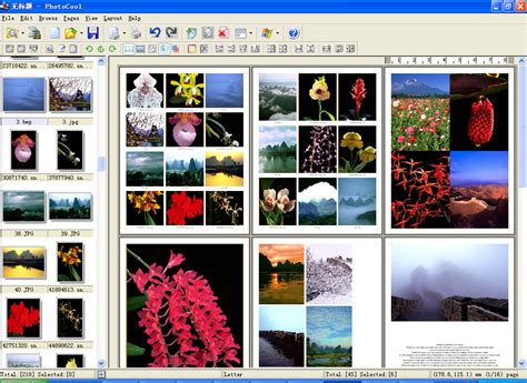 Digital Photo Printing Software Print Your Digital Photos