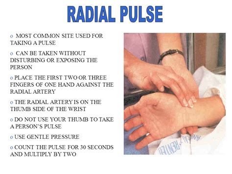 Radial Pulse Phlebotomy Career Training