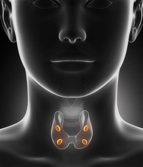 Thyroidectomy Thyroid Surgery Fort Worth Thyroid Center Fwent