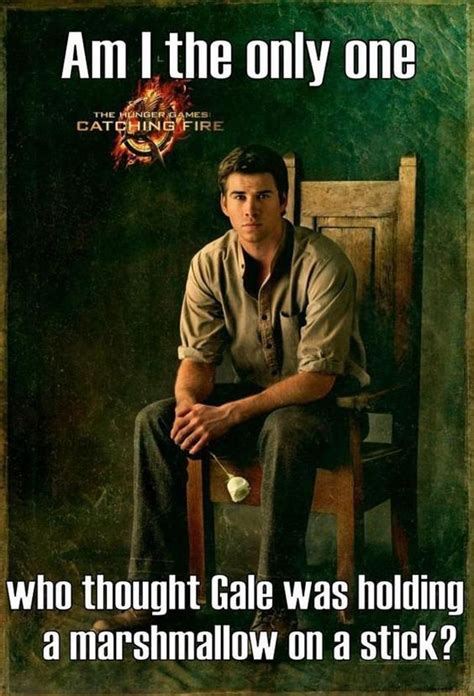 30 funniest the hunger games memes that will make you laugh hard