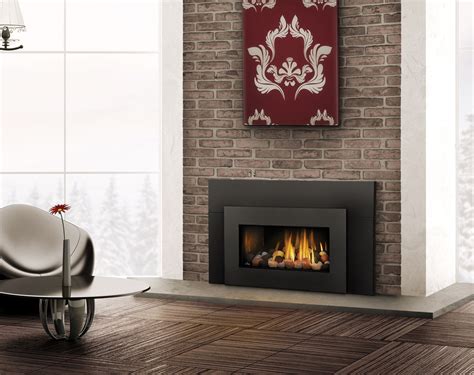 21 Gas Log Insert For Existing Fireplace Information Refined Ideas