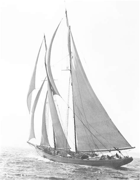 Lazyjacks Sailing Sailing Ships Bluenose Schooner