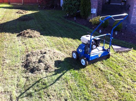 If the insecticide is a granular product, be sure to water it in so that it soaks into your soil. Power Raking / De-Thatching - Cloverdale Mowing