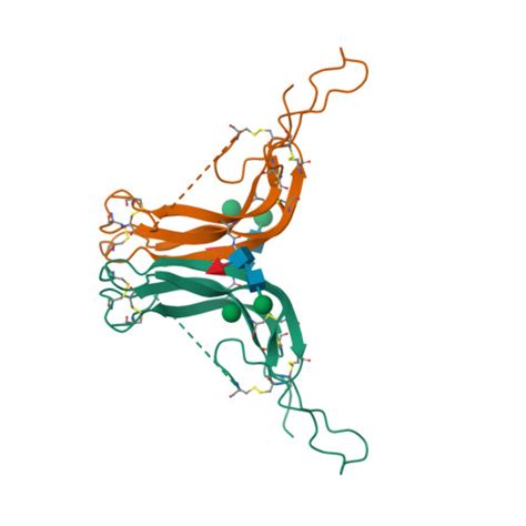 Rcsb Pdb 6p57 Crystal Structure Of The Beta Subunit Of Luteinizing