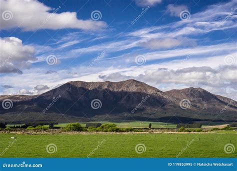 New Zealand Scenery Mountains And Green Grass Field Stock Image Image