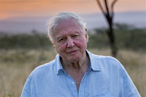 Sir david attenborough is an english broadcaster and naturalist. David Attenborough Documentary Promotes Plant Based Eating ...