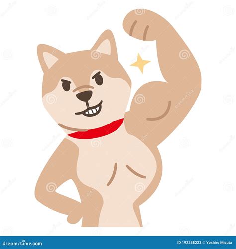 Big Muscular Pitbull Dog Vector Illustration 103511896