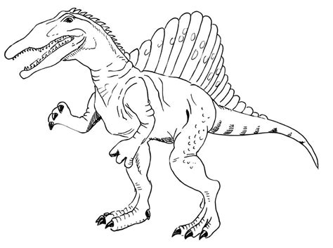 A Spinosaurus Dinosaur Coloring Page Download Print Or Color Online