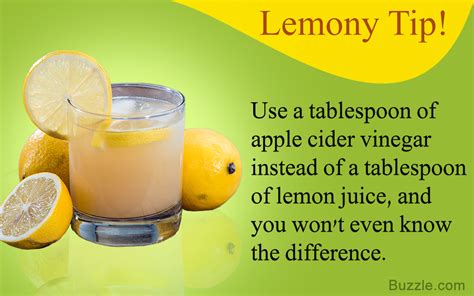 Lemon juice is used in a wide variety of ways in our everyday lives. Absolutely Genius Lemon Juice Substitutes You Can Use ...