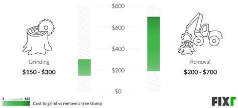 Stump Grinding Cost Average Cost Of Stump Grinding