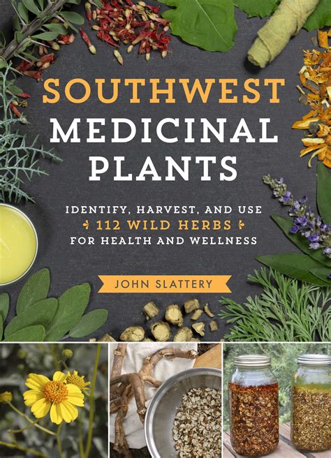 Wild Edible Plants Southwest Medicinal