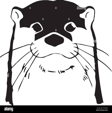 Cute Otter Illustration Stock Vector Images Alamy